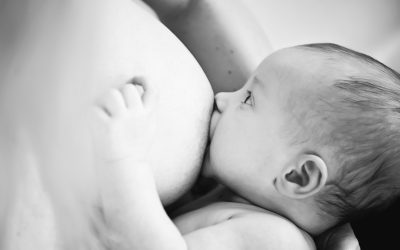 The Truth About Training & Breastfeeding